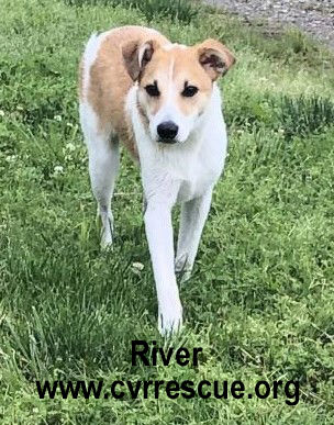 River